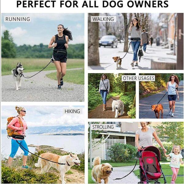 Guinzaglio per cani a mani libere Cintura per passeggiate e addestramento per animali domestici con guinzaglio bungee ammortizzante fino a 180 libbre tasca per telefono per cani di taglia grande e portaborraccia - Image 6