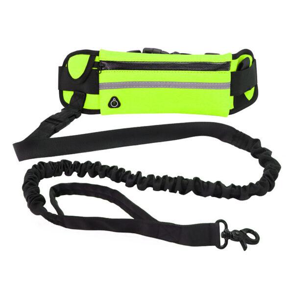 Guinzaglio per cani a mani libere Cintura per passeggiate e addestramento per animali domestici con guinzaglio bungee ammortizzante fino a 180 libbre tasca per telefono per cani di taglia grande e portaborraccia - Image 8