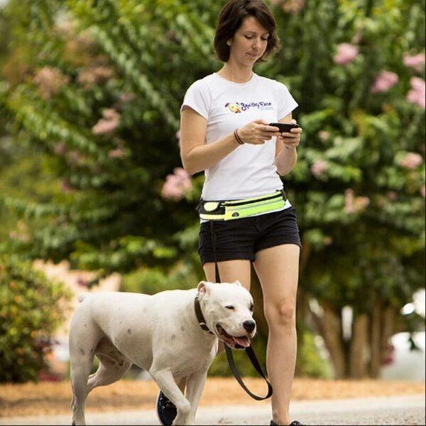 Guinzaglio per cani a mani libere Cintura per passeggiate e addestramento per animali domestici con guinzaglio bungee ammortizzante fino a 180 libbre tasca per telefono per cani di taglia grande e portaborraccia - Image 3