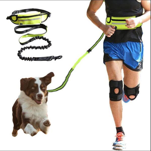 Guinzaglio per cani a mani libere Cintura per passeggiate e addestramento per animali domestici con guinzaglio bungee ammortizzante fino a 180 libbre tasca per telefono per cani di taglia grande e portaborraccia