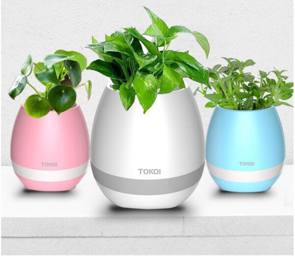 Audio da tavolo del vaso musicale sensibile al tocco